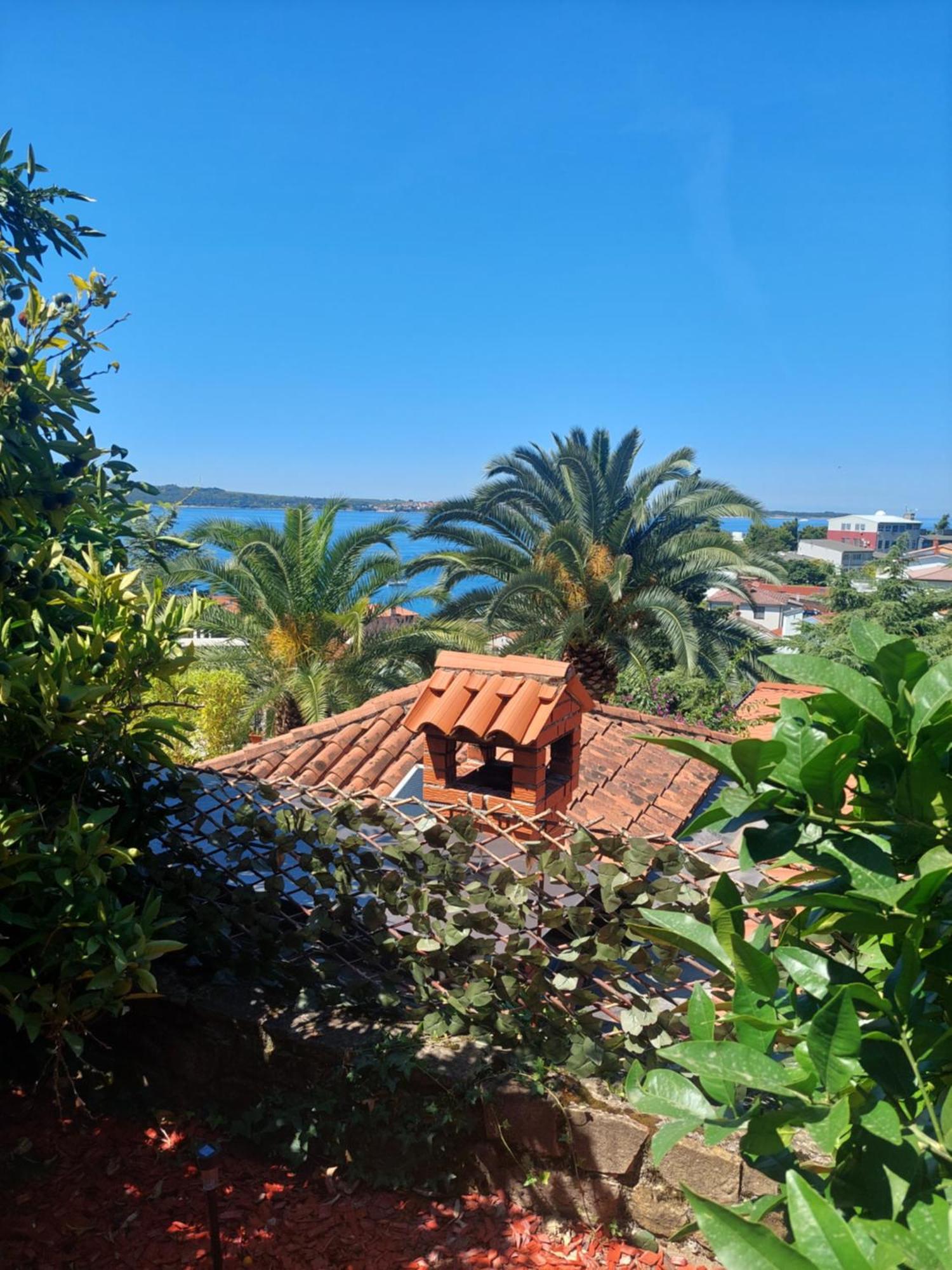Apartma Ursa Portorož Dış mekan fotoğraf