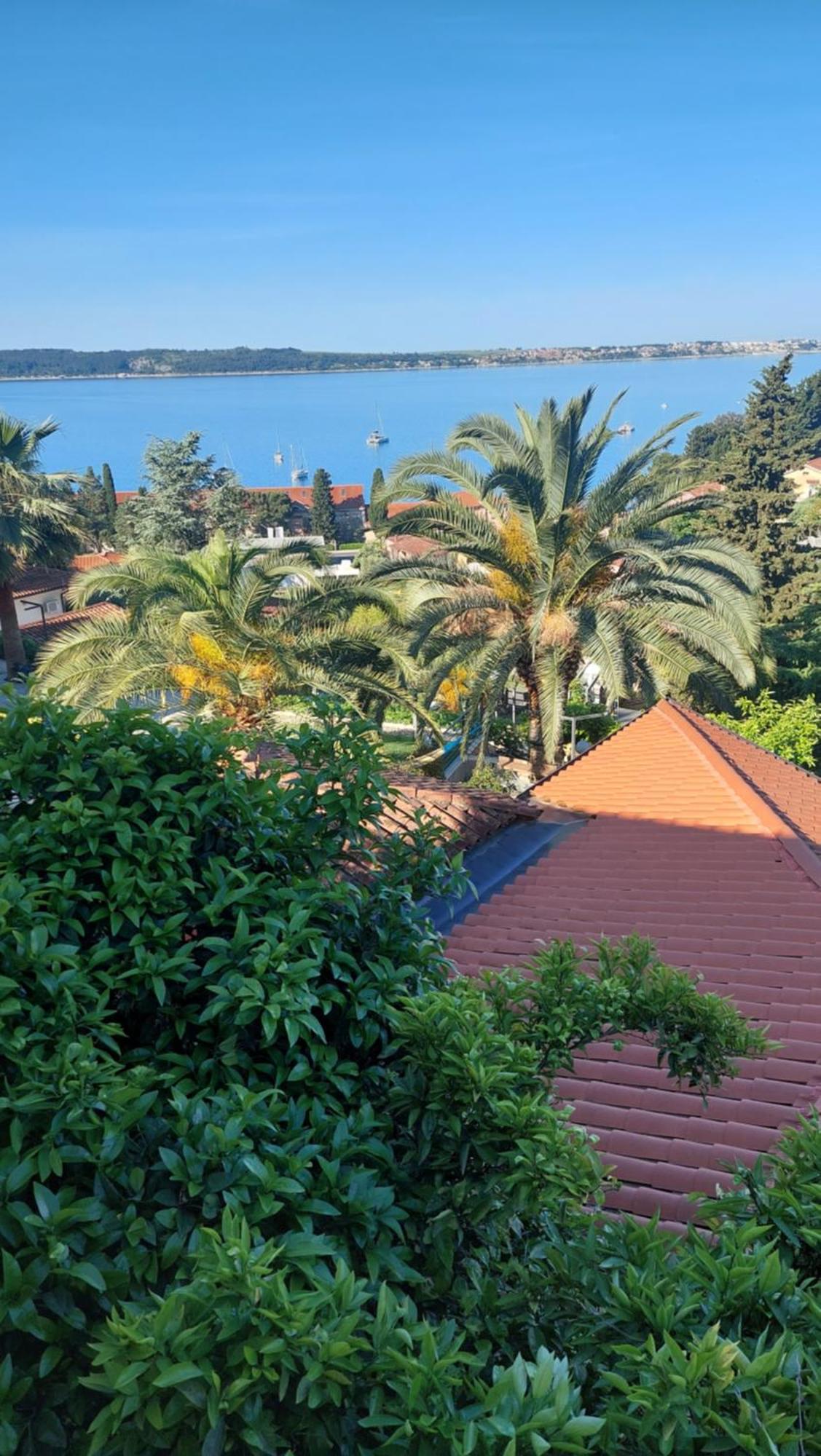 Apartma Ursa Portorož Dış mekan fotoğraf