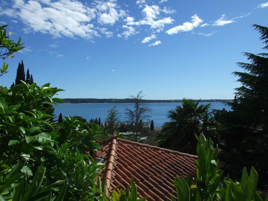 Apartma Ursa Portorož Dış mekan fotoğraf